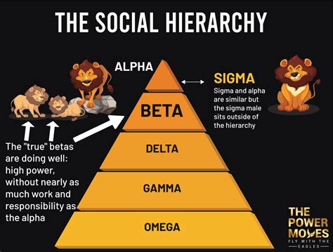 whats a beta